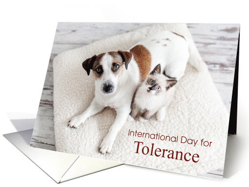 International Day For Tolerance Nov 16 with Dog and Cat... (1805136)