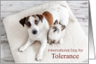 International Day For Tolerance Nov 16 with Dog and Cat Sharing Blanket card