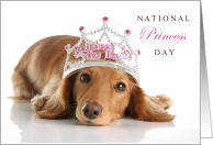 National Princess Day November 18th with Dachshund Puppy Wearing a Tiara card