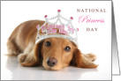 National Princess Day November 18th with Dachshund Puppy Wearing a Tiara card