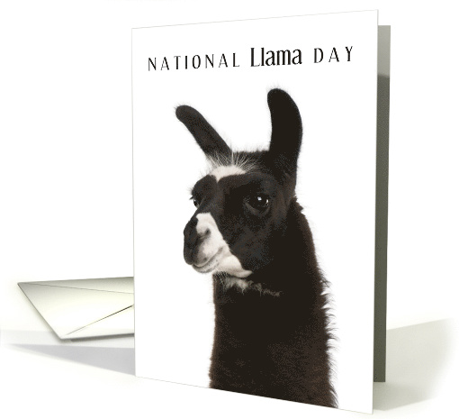 National Llama Day December 9 with Cute Llama Cloeup Photo card