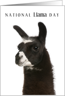 National Llama Day December 9 with Cute Llama Cloeup Photo card