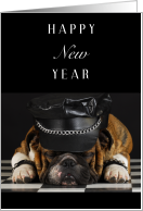 Happy New Year with Sleeping Bulldog in Leather and Studs card