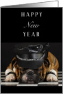 Happy New Year with Sleeping Bulldog in Leather and Studs card