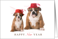 Great Grandchildren Happy New Year with Two Bulldogs in Fancy Hats card