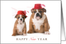 Great Grandchildren Happy New Year with Two Bulldogs in Fancy Hats card