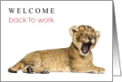Welcome Back to Work New Dad with Lion Cub Yawning card