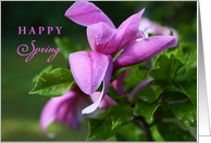 Happy Spring with Pretty Magenta Pink Magnolia Blooms and Green Leaves card