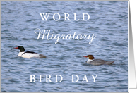 World Migratory Bird...