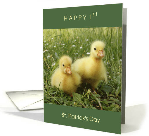 Happy 1st St Patrick's Day Twins with 2 Cute Chicks in... (1830958)