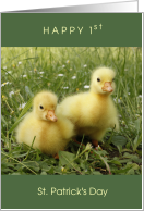 Happy 1st St Patrick’s Day Twins with 2 Cute Chicks in Grass Clover card