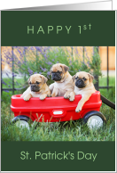 Happy 1st St Patrick’s Day with 3 Cute Pug Puppies in Wagon card