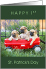 Happy 1st St Patrick’s Day with 3 Cute Pug Puppies in Wagon card