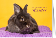 Happy Easter Great Great Granddaughter with Adorable Bunny Rabbit