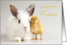 Happy Easter Great Great Grandson with Cute Bunny and Chick card
