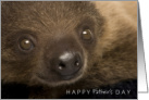 Happy Father’s Day with Cute Baby Sloth Closeup card