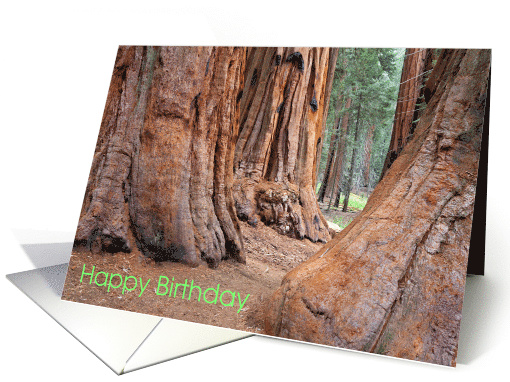 Happy Birthday Daughter Any Relation with Giant Sequoia... (1845090)