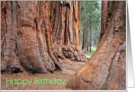 Happy Birthday Daughter Any Relation with Giant Sequoia Tree Trunks card