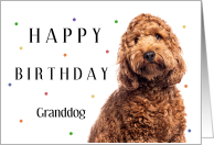 Happy Birthday Granddog with Cockapoo and Confetti card