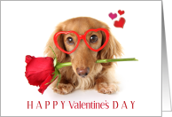 Happy Valentine’s Day from Dog with Puppy and Rose card