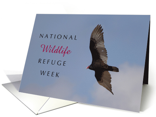 National Wildlife Refuge Week with Turkey Vulture card (1979094)