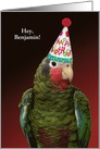 Custom Punny Parrot in Party Hat Birthday card