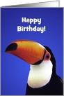 Custom Toucan the Bill’s on Me Birthday card