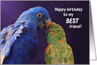 Colorful Birds Best Friends Birthday card