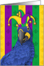 Colorful Jester Macaw Happy Mardi Gras card