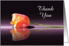 Custom Reflecting Tulip Thank You card