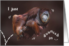 Bouncing Orangutan Birthday card