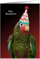 Custom Punny Parrot in Party Hat Birthday card