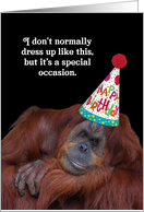 Dressed Up Orangutan in Party Hat Birthday card