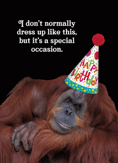 Dressed Up Orangutan...