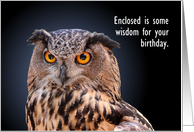 Eagle Owl Birthday Wisdom card