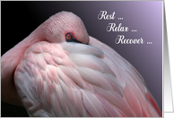 Pink Flamingo Rest, Relax, Recover Get Well card