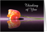 Custom Reflecting Tulip Thinking of You card