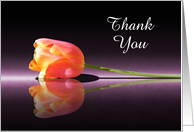 Custom Reflecting Tulip Thank You card