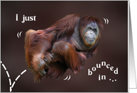 Bouncing Orangutan Birthday card