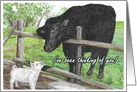 Thinking of You Cow and Pig card