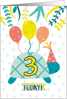 Cute Boys Turtle Third Birthday card