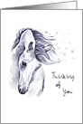 Thinking of You Monochrome Watercolor Horse card