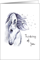 Thinking of You Monochrome Watercolor Horse COVID 19 card