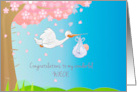 Pregnancy Congratulations for Niece with Stork and Baby Boy card