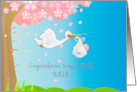Pregnancy Congratulations for Niece with Stork and Baby card