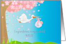 Pregnancy Congratulations for Niece with Stork and Baby Girl card