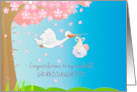 Pregnancy Congratulations for Granddaughter with Stork and Baby card