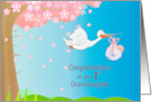 New First Granddaughter for Grandmother with Stork and Baby Girl card