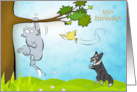 Funny 80th Birthday for Sister Cat and Dog and Birdie card