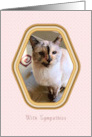 Pet Sympathy for Loss of Cat card